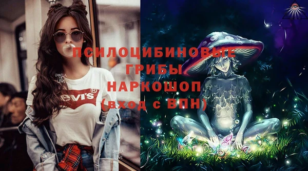 МДПВ Алзамай