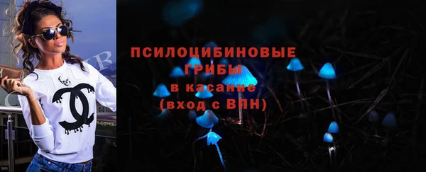 PSILOCYBIN Алексеевка