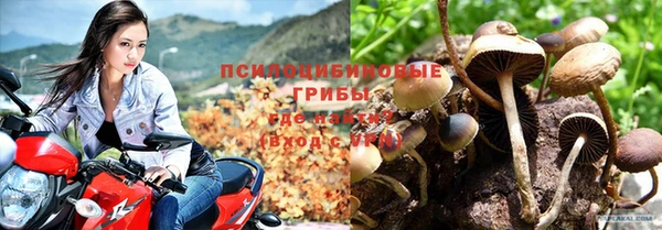 PSILOCYBIN Алексеевка