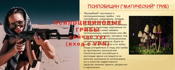 молекула духа Алексин
