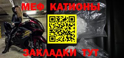 прущие грибы Долгопрудный