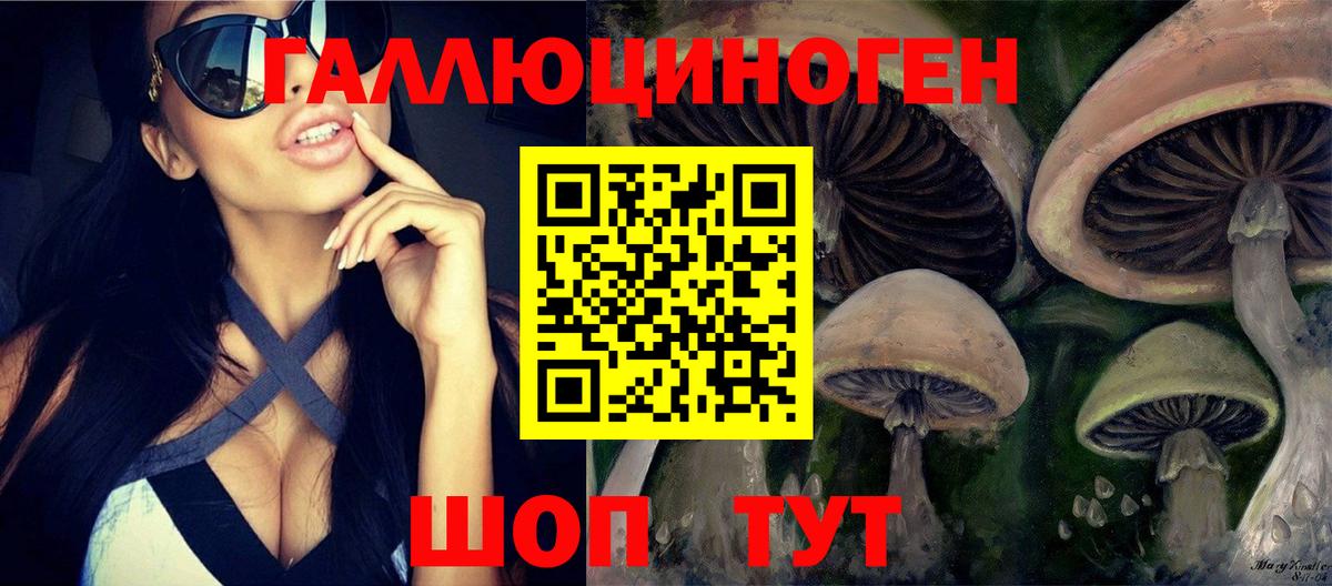 Псилоцибиновые грибы Psilocybine cubensis Десногорск